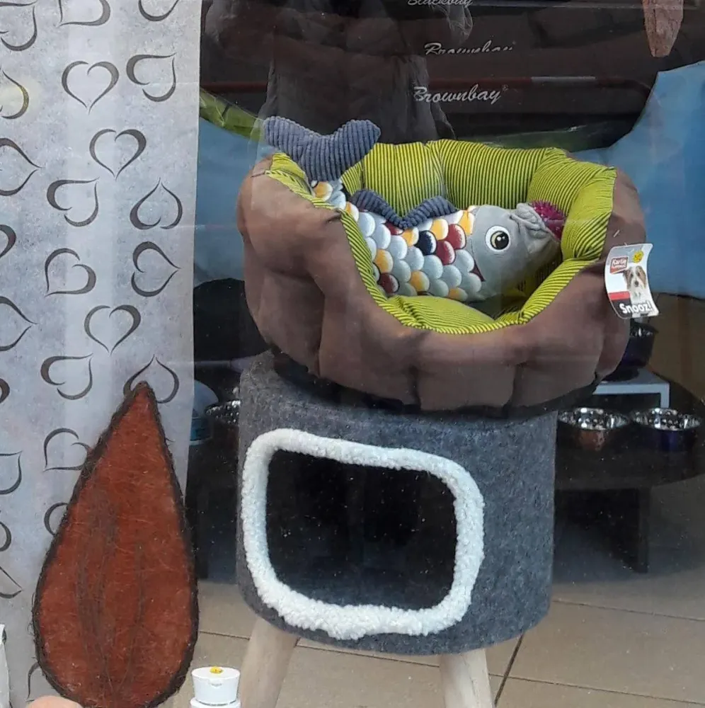 Coussinage à Ancenis